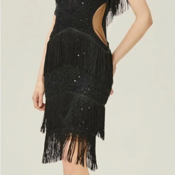 Black Flapper 1920’s Sequin Dress Costume New With Tags - Picture 2 of 13